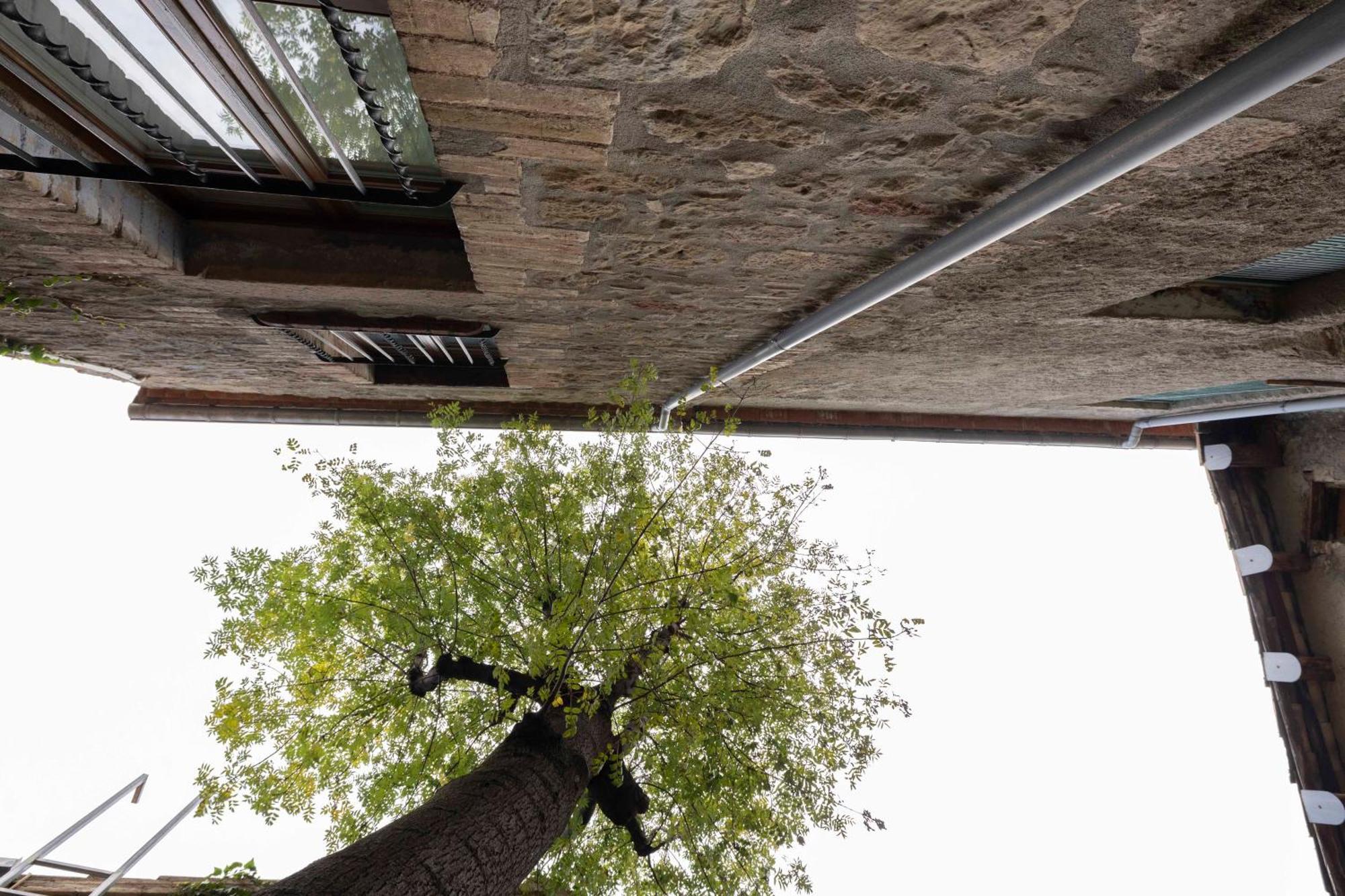 Hotel La Freixera Solsona Dış mekan fotoğraf