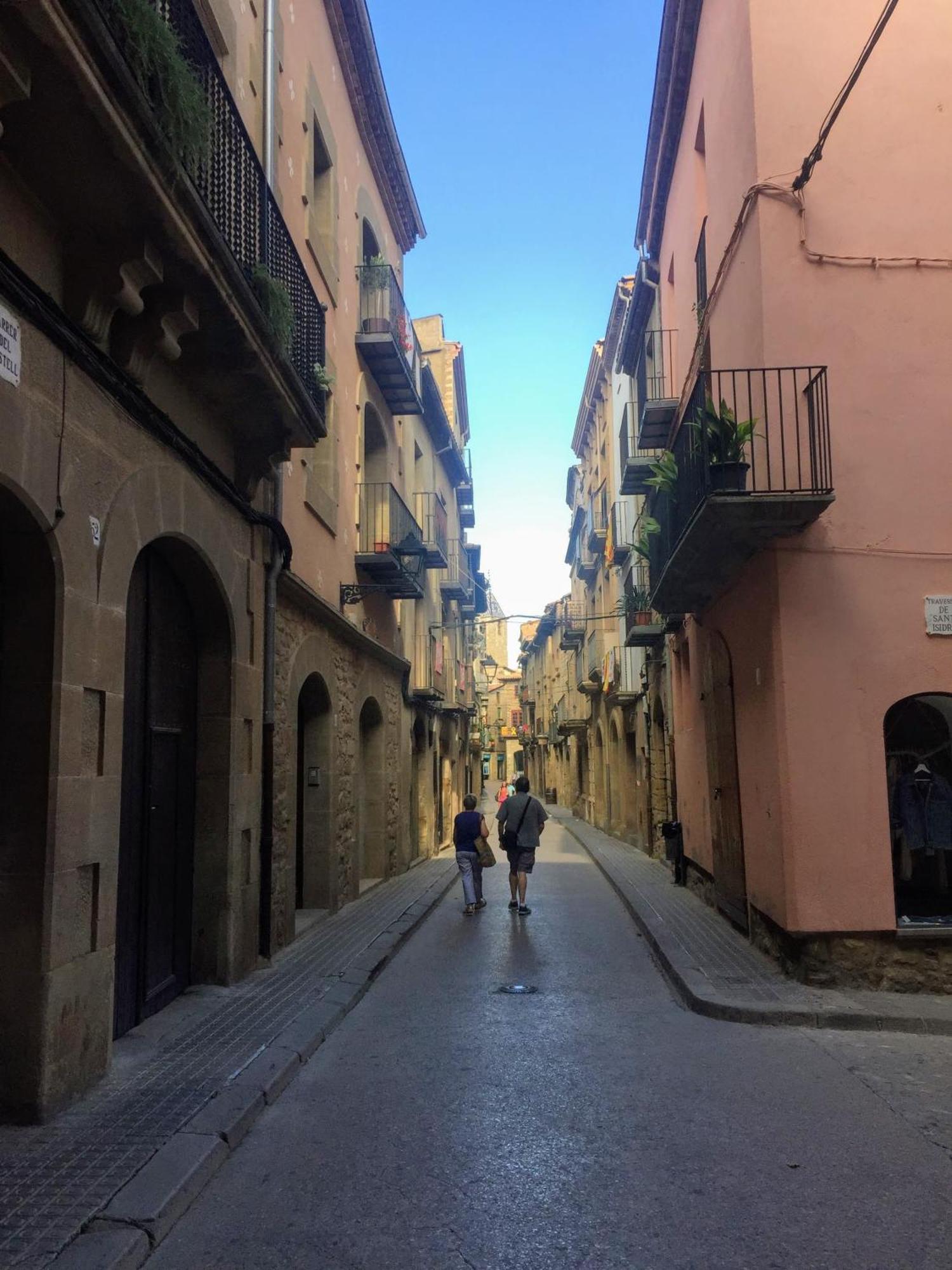 Hotel La Freixera Solsona Dış mekan fotoğraf